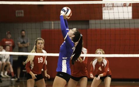 Best Volleyball Betting Sites: Top 20 Online Bookmakers .
